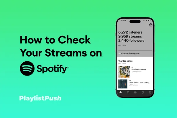 Comment vérifier les flux de Spotify : Un guide pas à pas